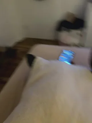 Engel_babe - stripchat