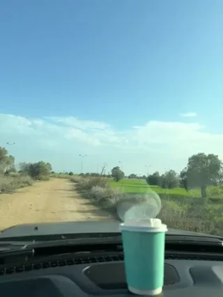 Nicoleevien - stripchat