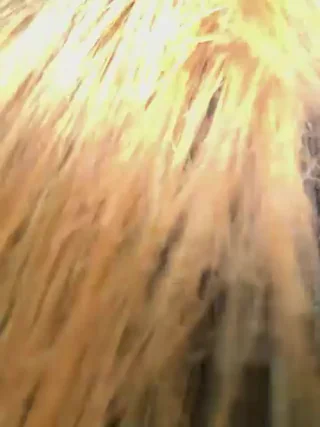 Sophie_Avory - stripchat