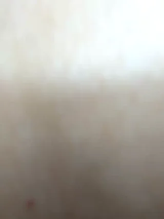 SweetBunnyGF - stripchat