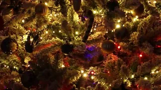 VitoriaCarusso - stripchat