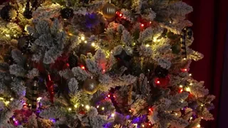 VitoriaCarusso - stripchat