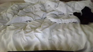 curlydelicious - chaturbate