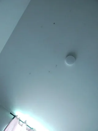 dannaparker - stripchat