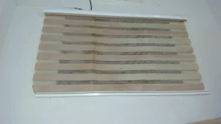 euphoriaparty - chaturbate