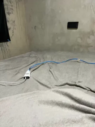 flavia337 - stripchat