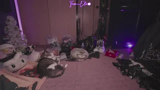 iam_eli - chaturbate