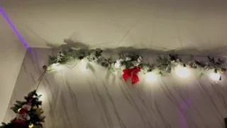 jeimy_garcia - stripchat