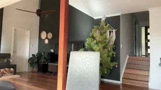 kittengirlxo - chaturbate