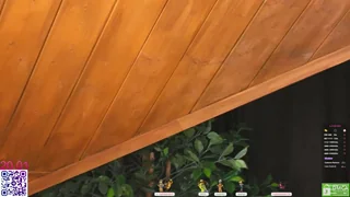 lissa_meooow - chaturbate