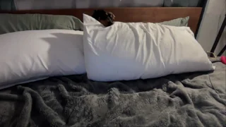 little_lies - chaturbate