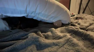 little_lies - chaturbate