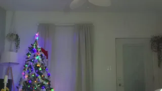 littlegreekflower - chaturbate