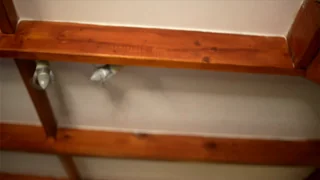 stella_shock - chaturbate