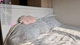 stellafalt - chaturbate