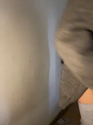 toobarry - stripchat